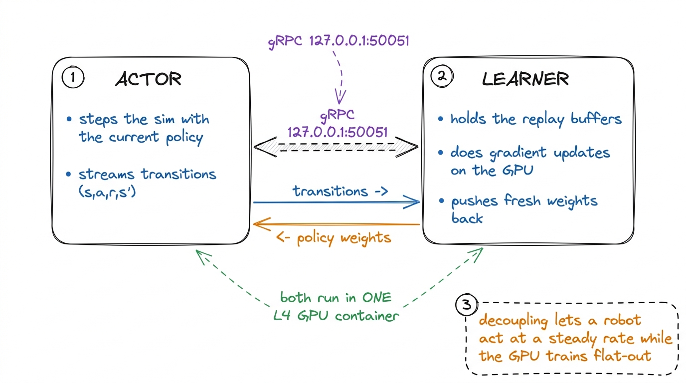 A hand-drawn diagram of the actor and learner as two boxes connected by gRPC on 127.0.0.1:50051: the actor steps the sim and streams transitions rightward, the learner holds the replay buffers and does gradient updates on the GPU, pushing policy weights back leftward, with a note that both run in one L4 GPU container.